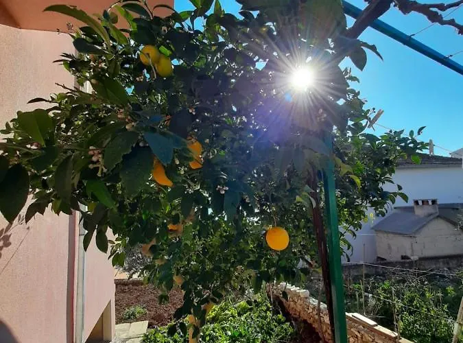 Ljulj Lägenhet