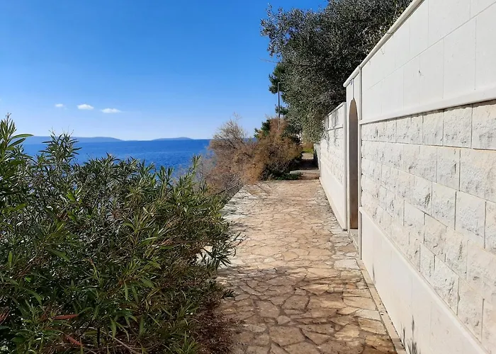 Ljulj Trogir