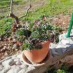 Ljulj Апартаменты Трогир