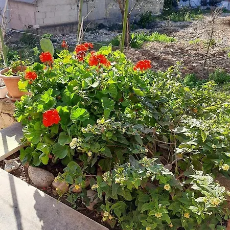 Ljulj