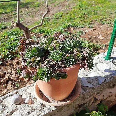 Ljulj Apartment Trogir