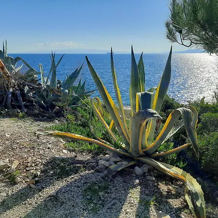 Apartamento Ljulj Trogir