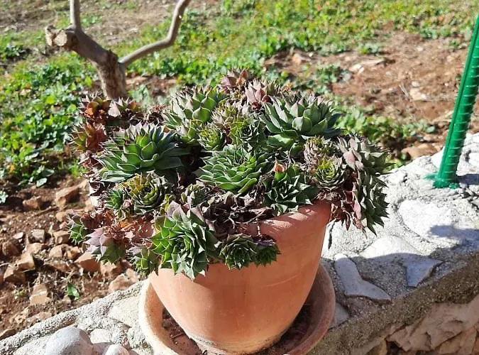 Ljulj Appartement Trogir