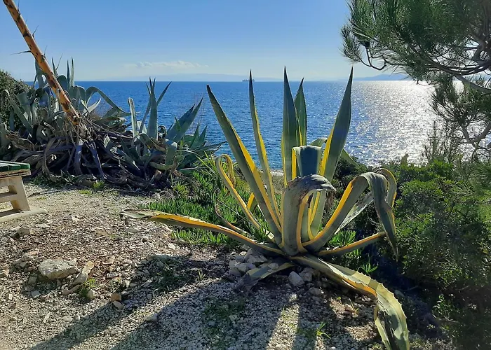 Appartement Ljulj Trogir